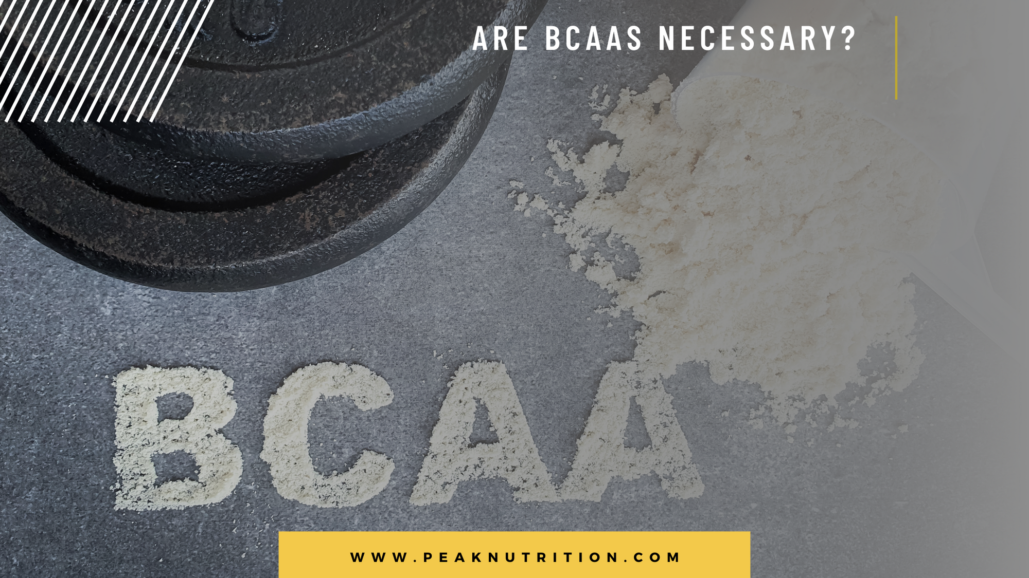 Are BCAAs Necessary?