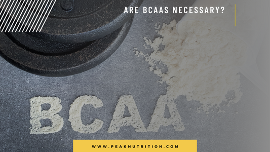 Are BCAAs Necessary?