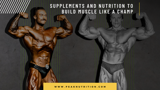 Supplements & Nutrition to Build Muscle Like a Champ