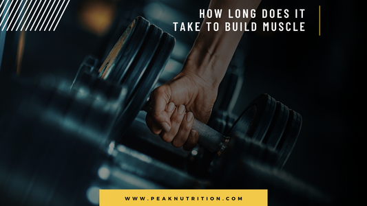 How Long Does It Take To Build Muscle?
