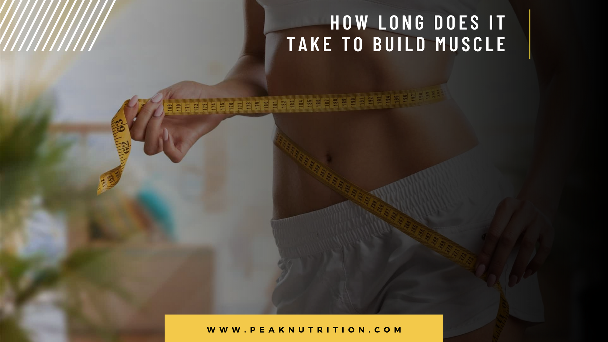 How To Lose Weight Without Working Out