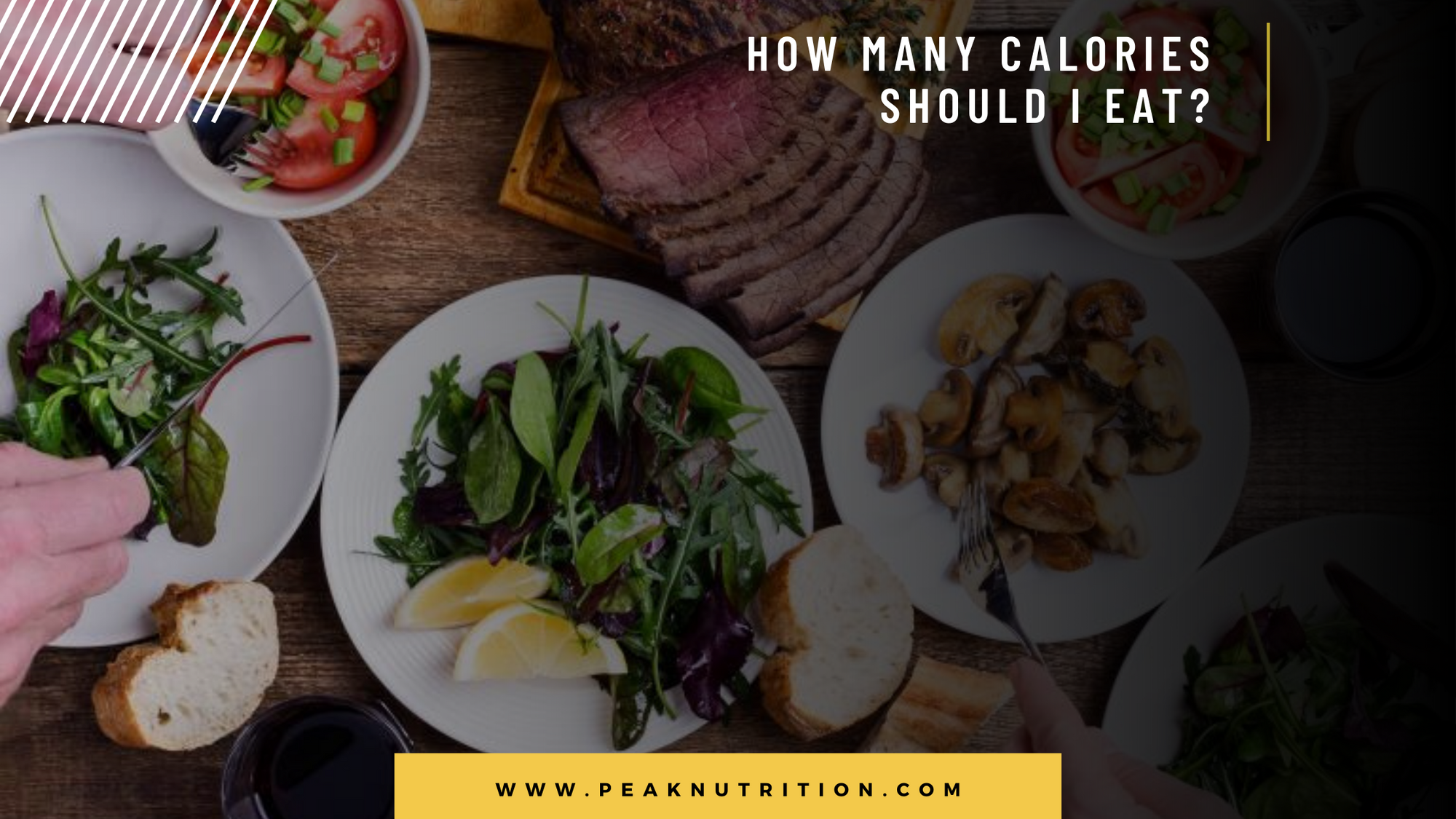 How Many Calories Should I Eat?