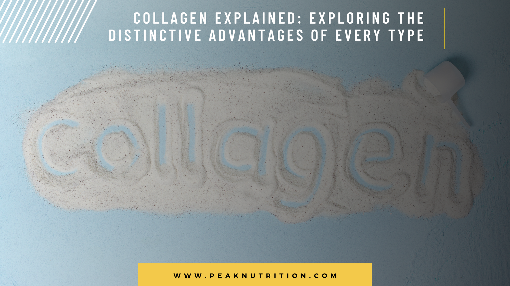 Collagen Explained: Exploring the Distinctive Advantages of Every Type