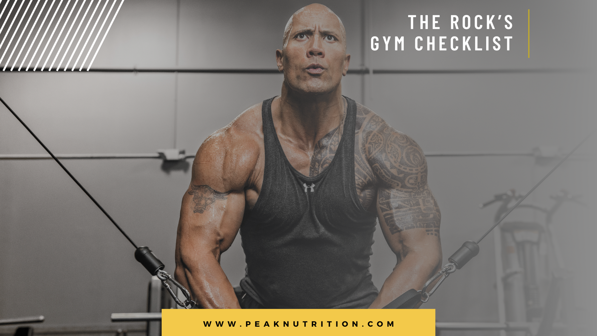 Steal “The Rock's” Gym Checklist – Peak Nutrition