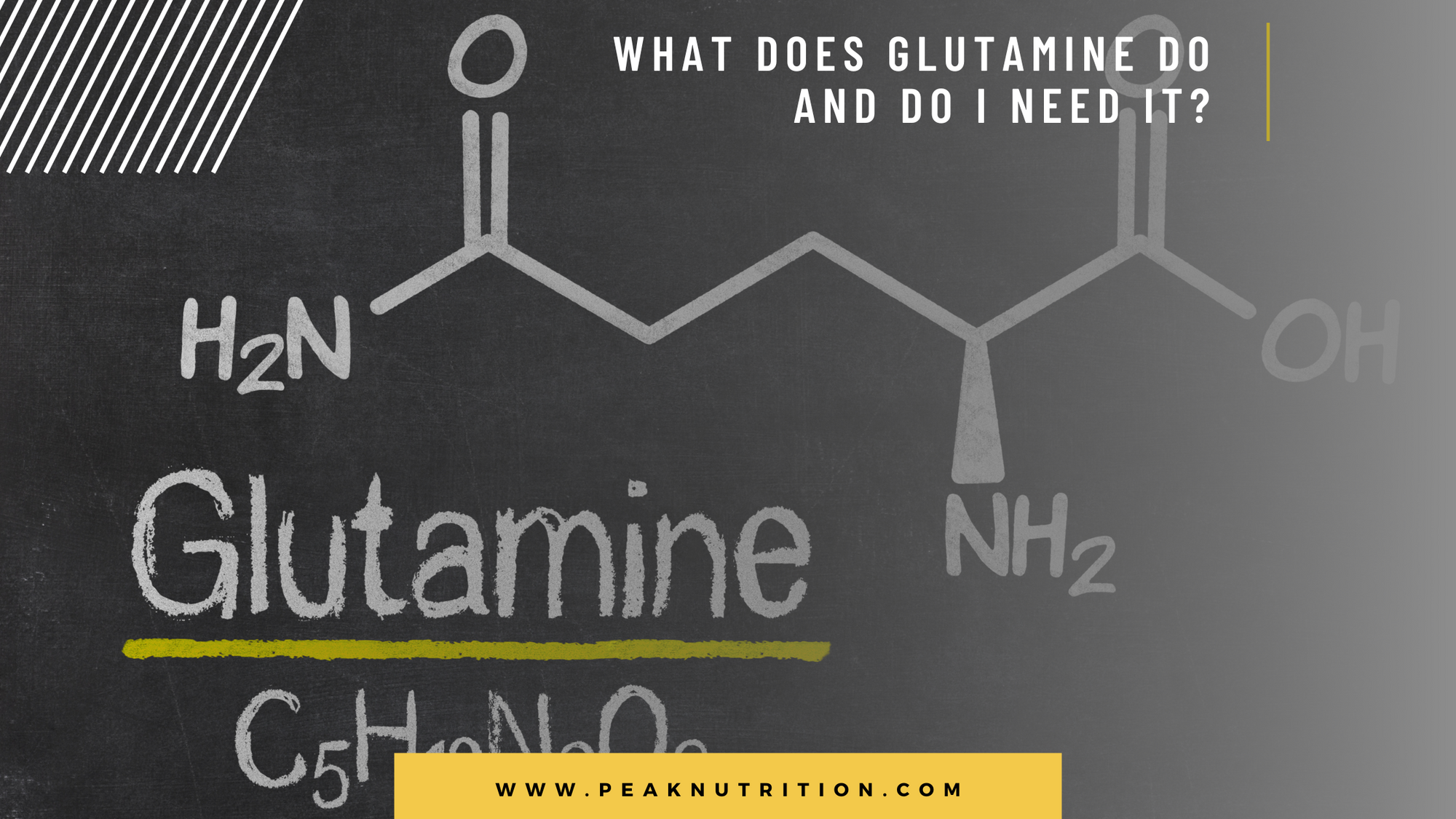 What Does Glutamine Do and Do I Need It?
