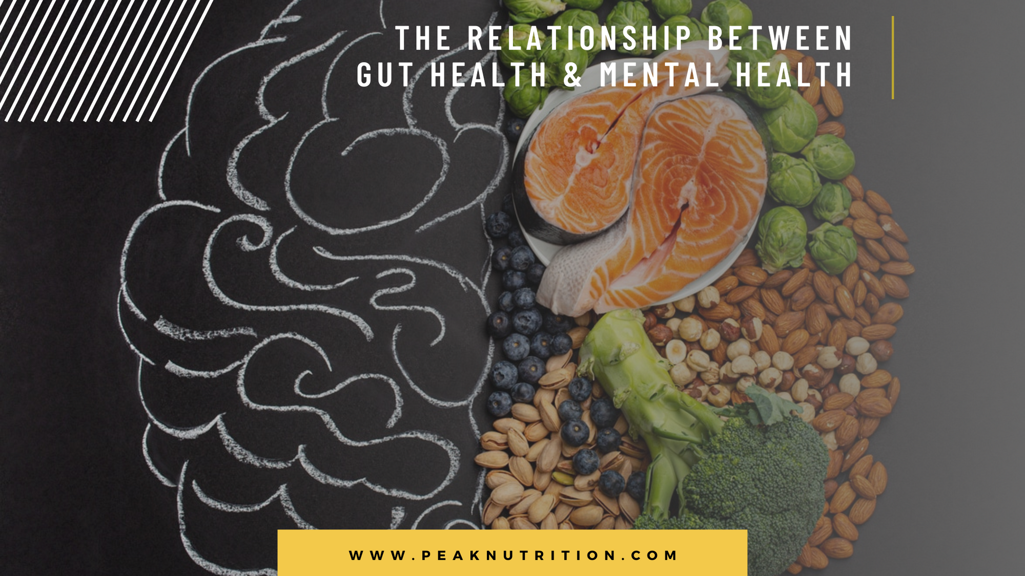 The Relationship Between Gut Health And Mental Health