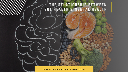 The Relationship Between Gut Health And Mental Health