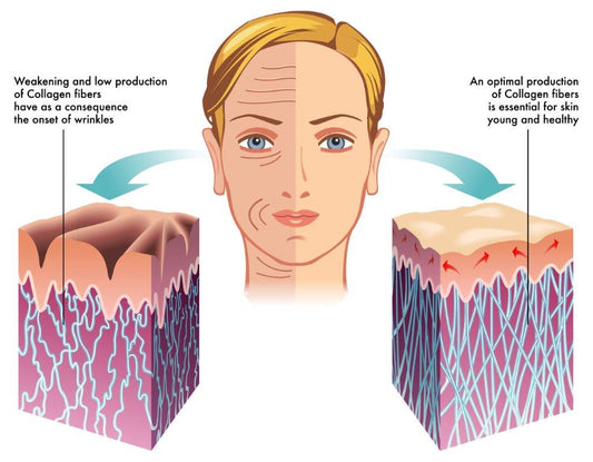 Am I Taking The Right Collagen Protein?