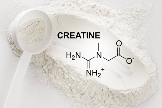 Creatine Decoded: Discover the Best Type for Your Fitness Goals