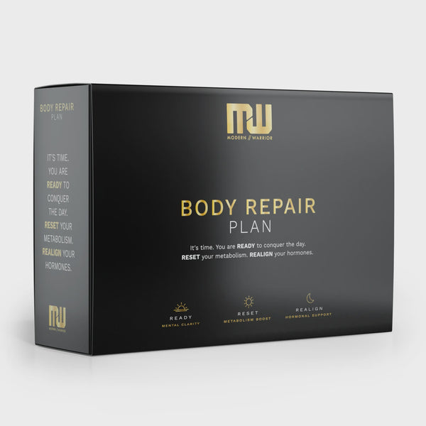 Modern Warrior- Body Repair Plan - Male