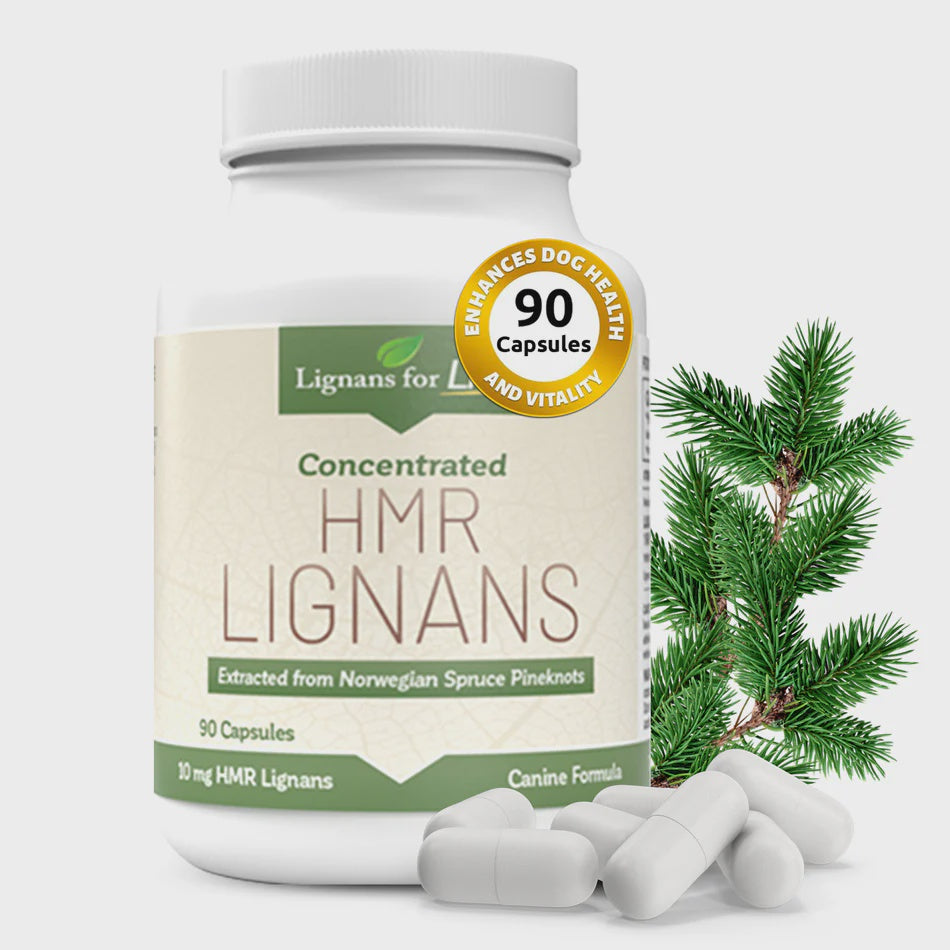 Lignans For Life - HMR Lignans 10mg - Hormonal Balance