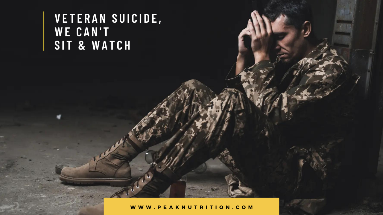 Veteran Suicide Awareness, We Can't Sit And Watch