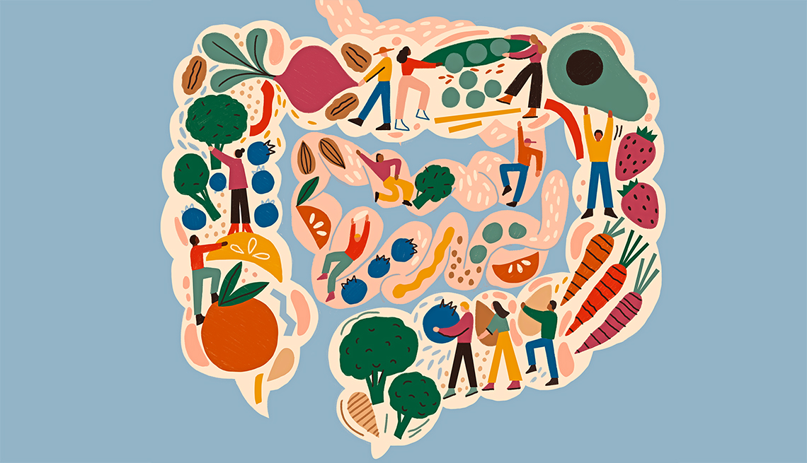 illustration of breaking down food for gut health
