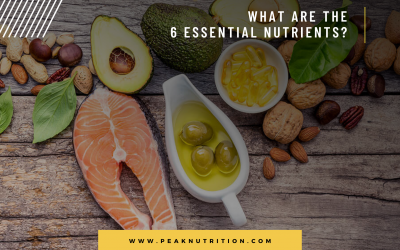 What Are The 6 Essential Nutrients