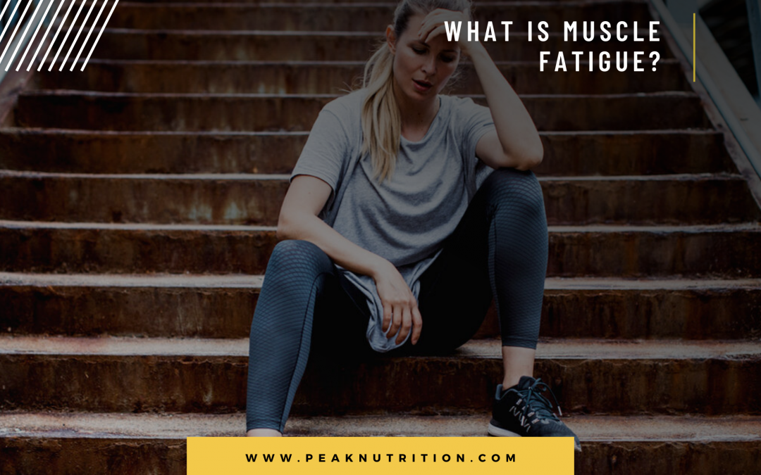What Is Muscle Fatigue?
