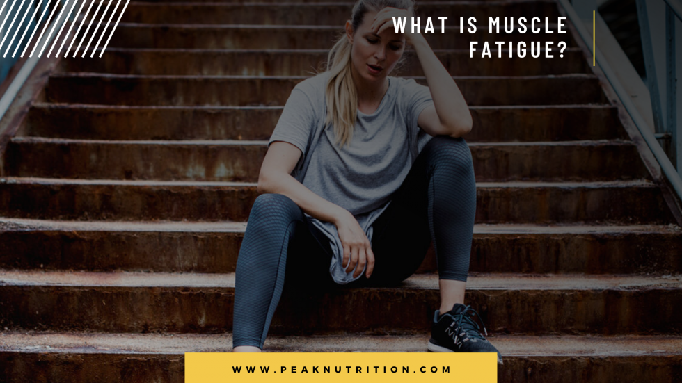 what-is-muscle-fatigue