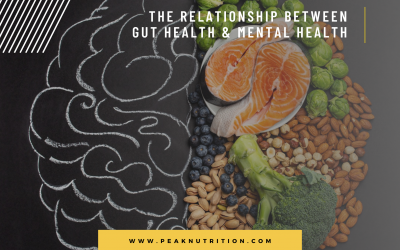The Relationship Between Gut Health And Mental Health