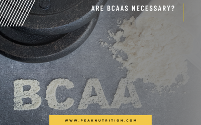 Are BCAAs Necessary?