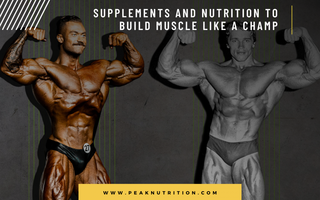 Supplements & Nutrition to Build Muscle Like a Champ